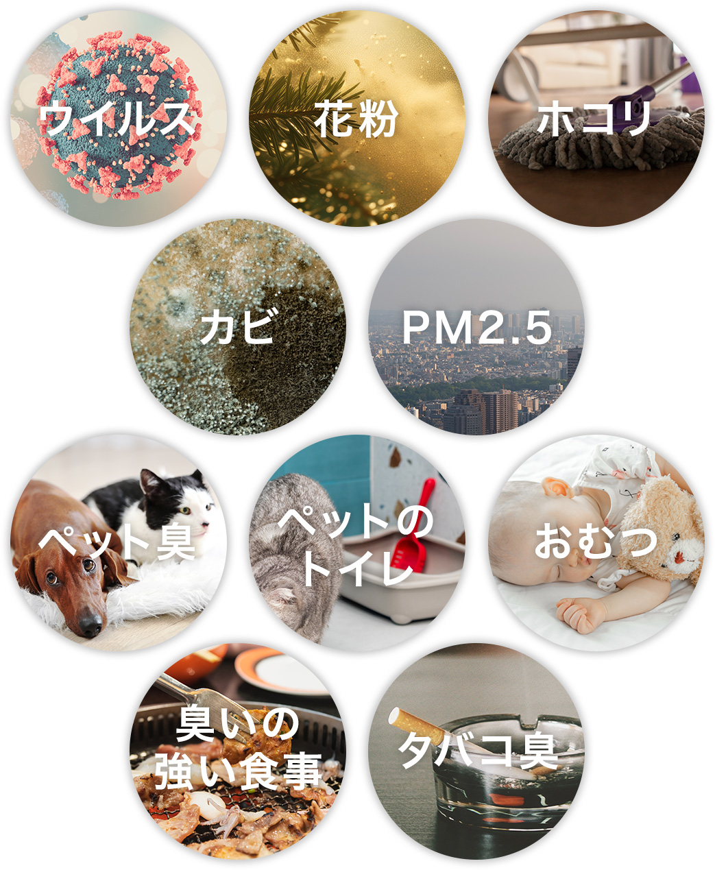 商品写真